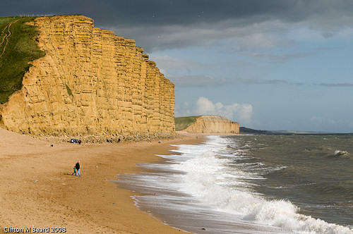 The Cliffs at West Bay, Image by Clifton M. Beard
